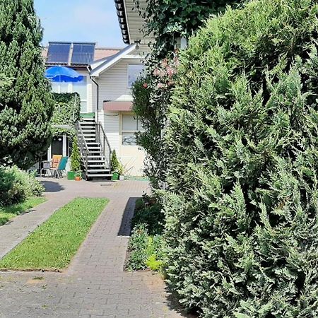 Noclegi U Gosi Mosty Kolo Gdyni Exterior photo